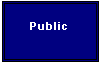 Text Box: Public
