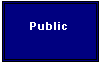 Text Box: Public
